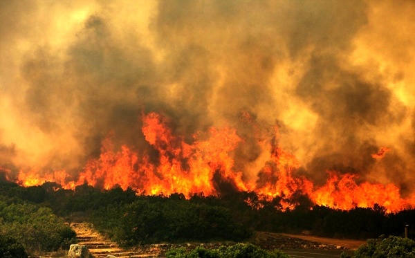 مهار آتش‌سوزی تالاب گندمان با تلاش نیروهای امدادی