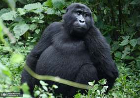 منتخب تصاویر امروز جهان- 1 مهر