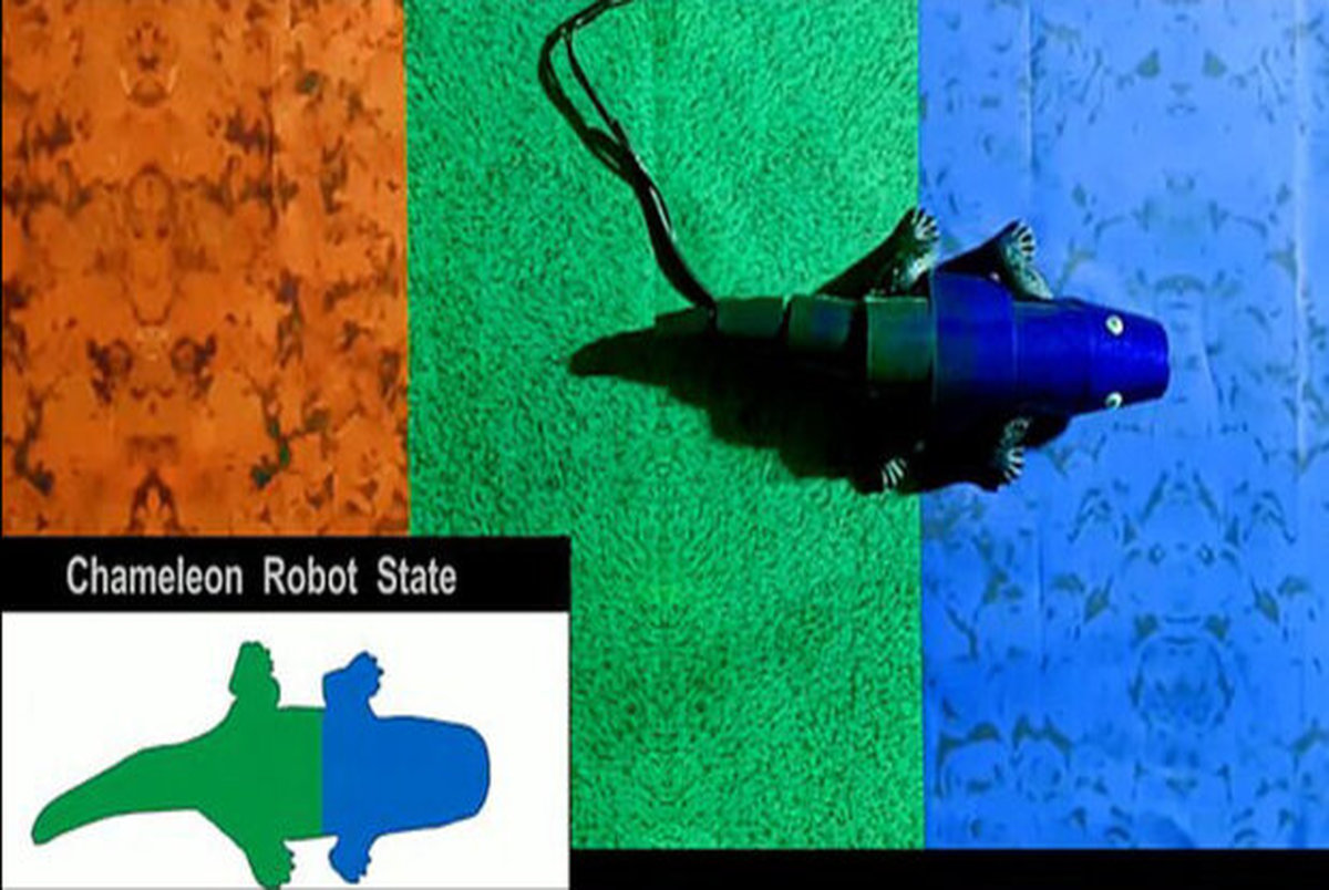 این ربات خود را به رنگ محیط اطراف در می آورد