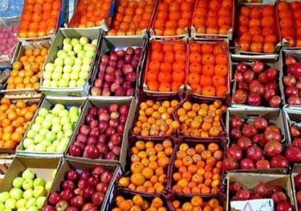 200 تن میوه شب عید در بوکان توزیع می شود