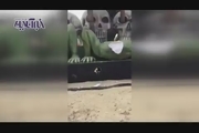 عربستانی‌های خشمگین مجسمه‌های زشت هالوین را شکستند