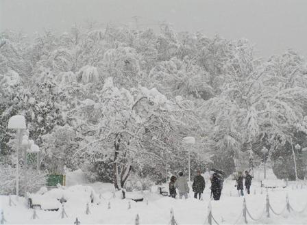 بارش 25 سانتیمتر برف در چالدران  راه ارتباطی 20 روستا بازگشایی می شود