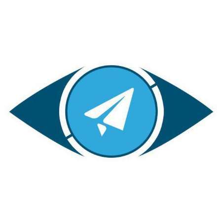 رئیس انجمن نابینایان کاشان: بلایندگرام نابینایان را از انزوای ارتباطی در شبکه های اجتماعی خارج کرد