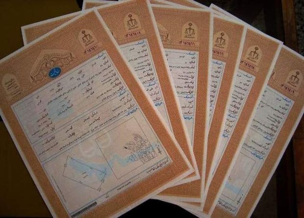 هزار سند تک برگ در دهلران صادر شد