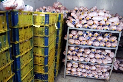 توزیع گوشت مرغ و گوساله در کرمان ادامه دارد