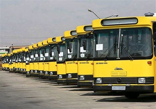 12 هزار اتوبوس برای بازگشت زائران در مرزها مستقر شدند