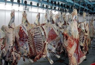 ساماندهی کشتارگاه دهدشت، پای ثابت نشست های شورای سلامت