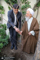 کاشت نهال توسط آیت الله العظمی جوادی آملی در هفته درختکاری