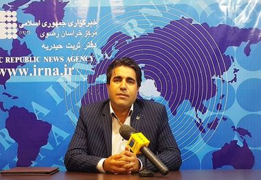 جشنواره ملی عکس زعفران در تربت حیدریه و زاوه برگزار می شود