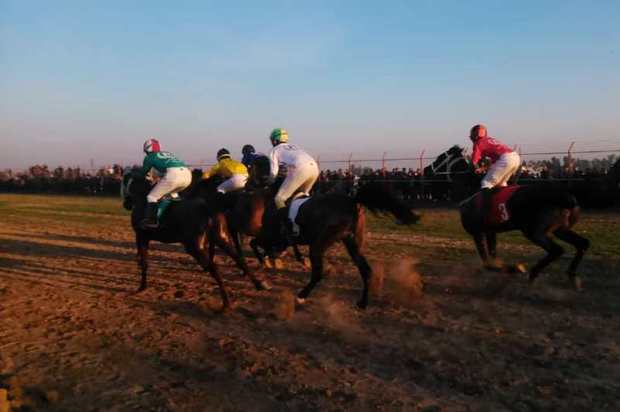مسابقات کورس اسب های اصیل عرب خوزستان در دزفول برگزار شد