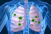 تاثیر مصرف «روی» در از بین بردن عفونت تنفسی
