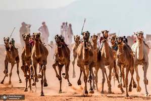 منتخب تصاویر امروز جهان- 26 شهریور