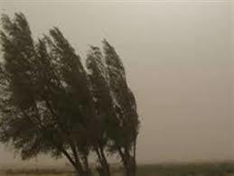 وزش باد شدید مناطق مختلف استان را فرا می گیرد