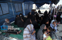 شناسایی شهدای دبستان میناب (24)