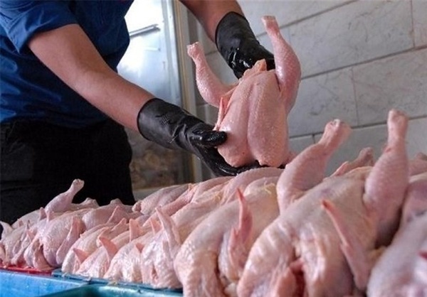 افزایش چهار برابری عرضه مرغ گرم برای تنظیم بازار در مازندران