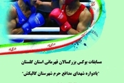 مسابقات بوکس قهرمانی گلستان و انتخابی کشور در گالیکش برگزار می شود