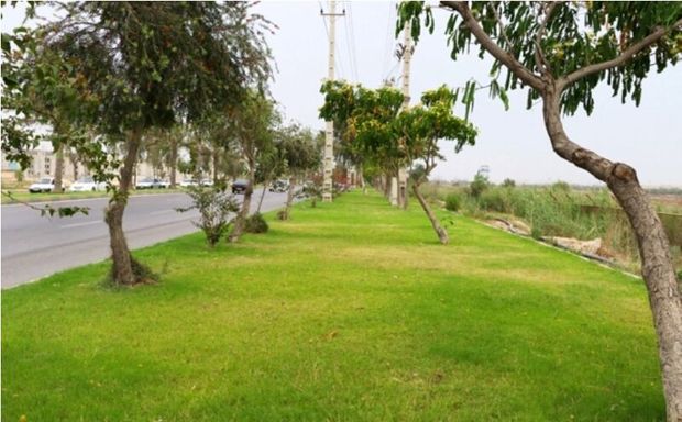 طرح مهر ویژه حامیان فضای سبز در بوشهر اجرا شد