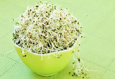 درمان فوری سنگ کلیه با مصرف این جوانه