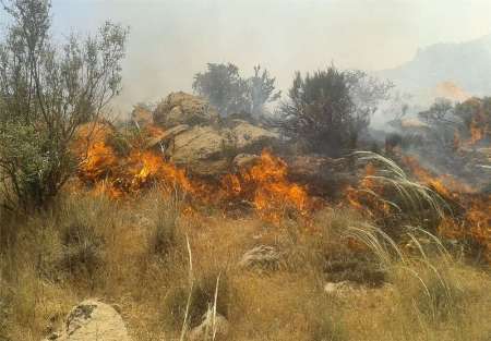 رئیس اداره منابع طبیعی:تلاش برای مهار آتش سوزی جنگل های کوهدشت ادامه دارد