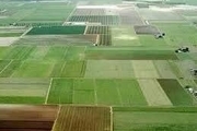اجرای طرح کاداستر در ۱۱۴ هزار هکتار از اراضی کشاورزی استان چهارمحال وبختیاری