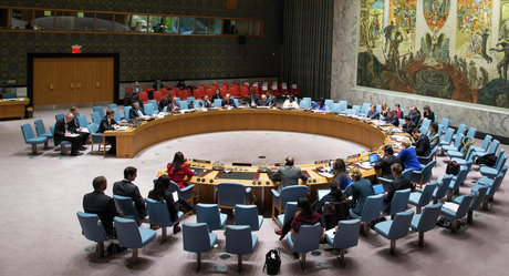 ۶ عضو جدید شورای امنیت سازمان ملل انتخاب شدند