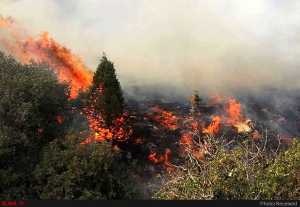 شعله‌ور شدن آتش در جنگل‌های مشجر گیلانغرب  دشواری مهار آتش به دلیل صعب العبور بودن منطقه