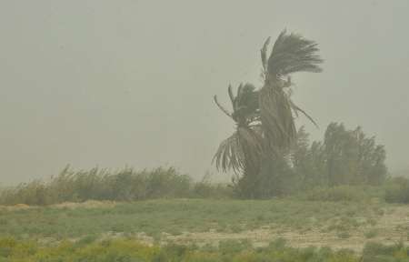 وزش باد به نسبت شدید شمال سیستان و بلوچستان را فرا می گیرد