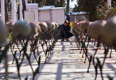 بهشت زهرا: هزینه‌های کفن و خاک‌سپاری هم‌وطنان از دست رفته در ناآرامی‌های دی 1404 رایگان شد