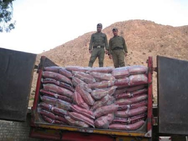 پنج تن برنج قاچاق در تایباد کشف و ضبط شد
