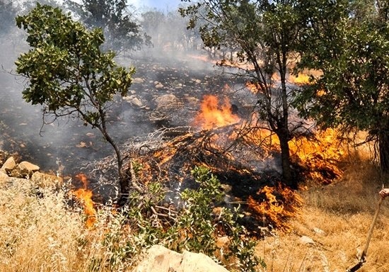 وقوع 3 مورد حادثه آتش‌سوزی مرتع در شهرستان پاوه  نقش عوامل انسانی در آتش‌سوزی‌ها
