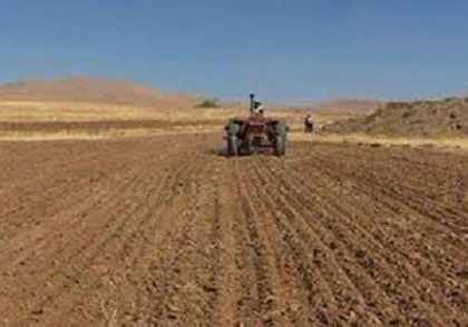 کشت غلات در 8 هزار هکتار از زمین‌های کشاورزی گچساران
