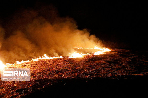 آتش سوزی جنگل‌های شهرستان کهگیلویه همچنان ادامه دارد