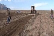 آغاز کشت غلات در سطح 436 هکتار  مزارع تالش