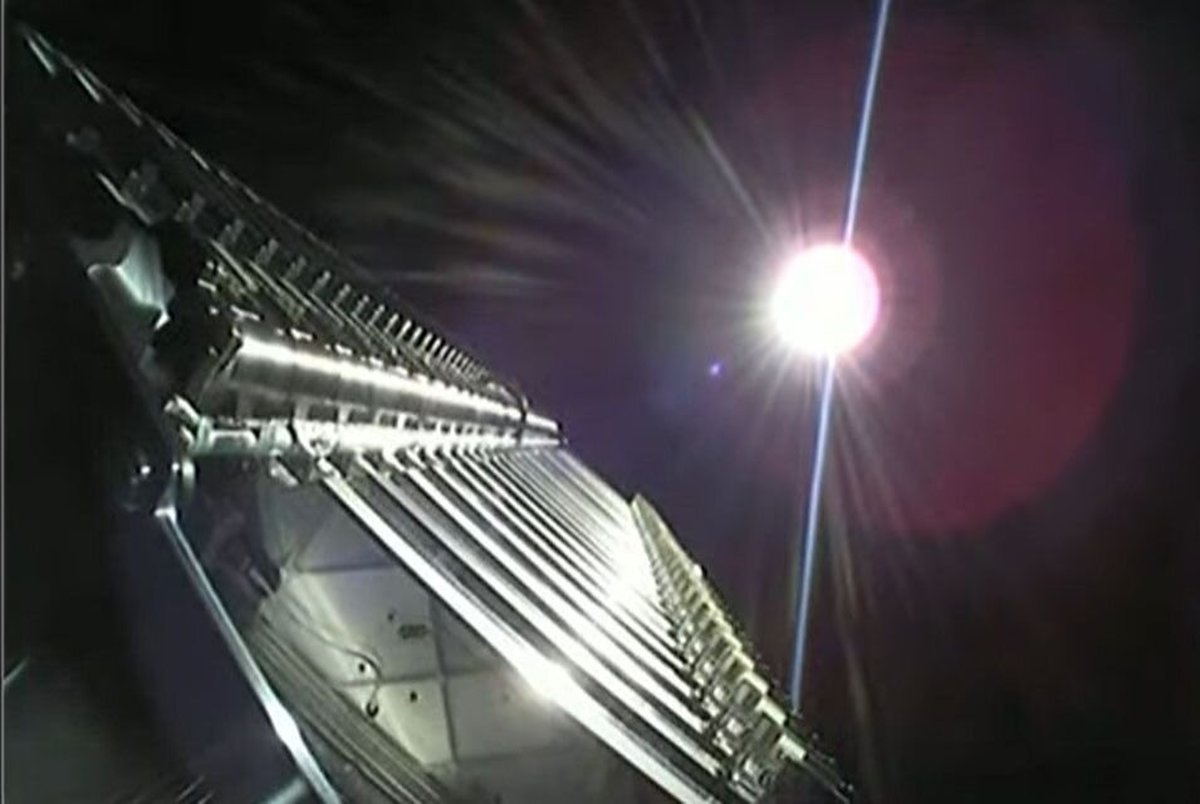 اسپیس ایکس ۵ هزار خرس آبی به فضا برد