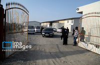 شناسایی شهدای دبستان میناب (23)