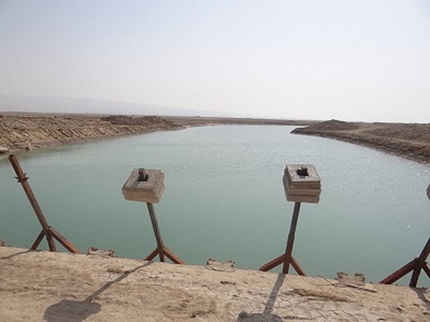 برق رسانی به سایت پرورش میگوی مند بوشهر آغاز شد