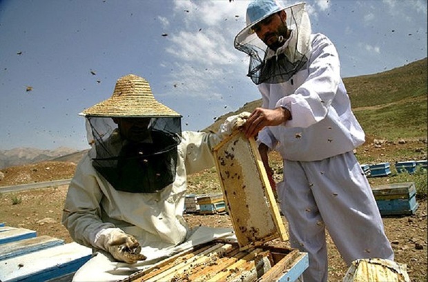 11 نوع عسل در خراسان جنوبی تولید می شود
