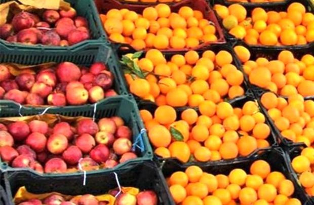 202 تن سیب و پرتقال شب عید در دماوند توزیع می شود