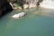 کشف جسد مرد 46 ساله در رودخانه روستای چمنار دورود