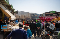 تصاویری از سقوط بالگرد ارتش در «درچه» اصفهان (12)