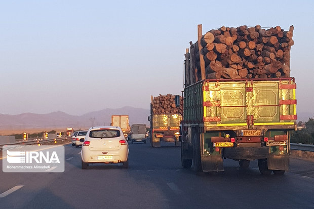 کشف بیش از ۱۰ تن چوب قاچاق در خراسان شمالی