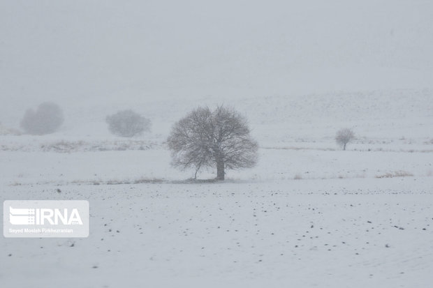 برف آسمان برخی نقاط کردستان را فرا می‌گیرد