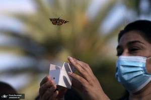 منتخب تصاویر امروز جهان- 22 اردیبهشت 1400