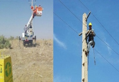 استان مرکزی پیشرو ایمن سازی خطوط برق برای پرندگان در کشور است
