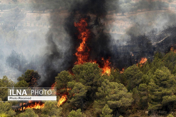 آتش‌سوزی جنگل‌های زاگرس عامل انسانی دارد  دلایل کندی مهار آتش در منطقه  آتش‌سوزی به بهانه تهیه ذغال صحت ندارد
