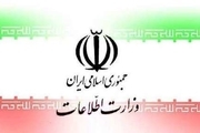 اطلاعیه های وزارت اطلاعات در سایت واجا منتشر می شود/ مردم به شایعات توجه نکنند