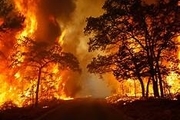 ۶۸ هکتار از جنگل‌های گیلان در آتش‌ سوخت