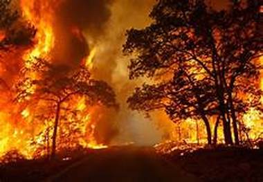 100 هکتار از جنگل‌های گچساران سوخت/ ادامه حریق به علت نبود بالگرد