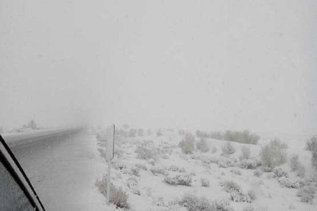 برف و سرما استان اردبیل را فراگرفت