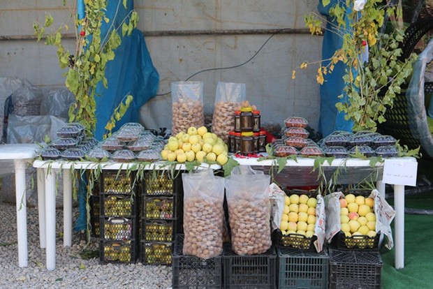 بازارچه محصول های روستایی در قم برپا شود